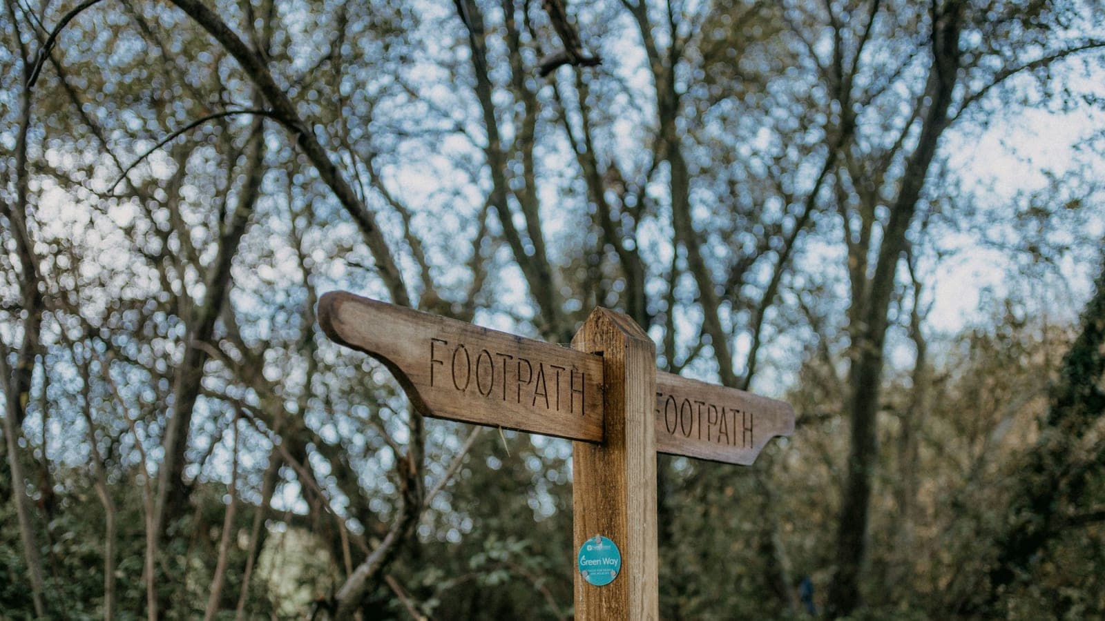 A wooden sign pointing in opposite directions in a wooded area