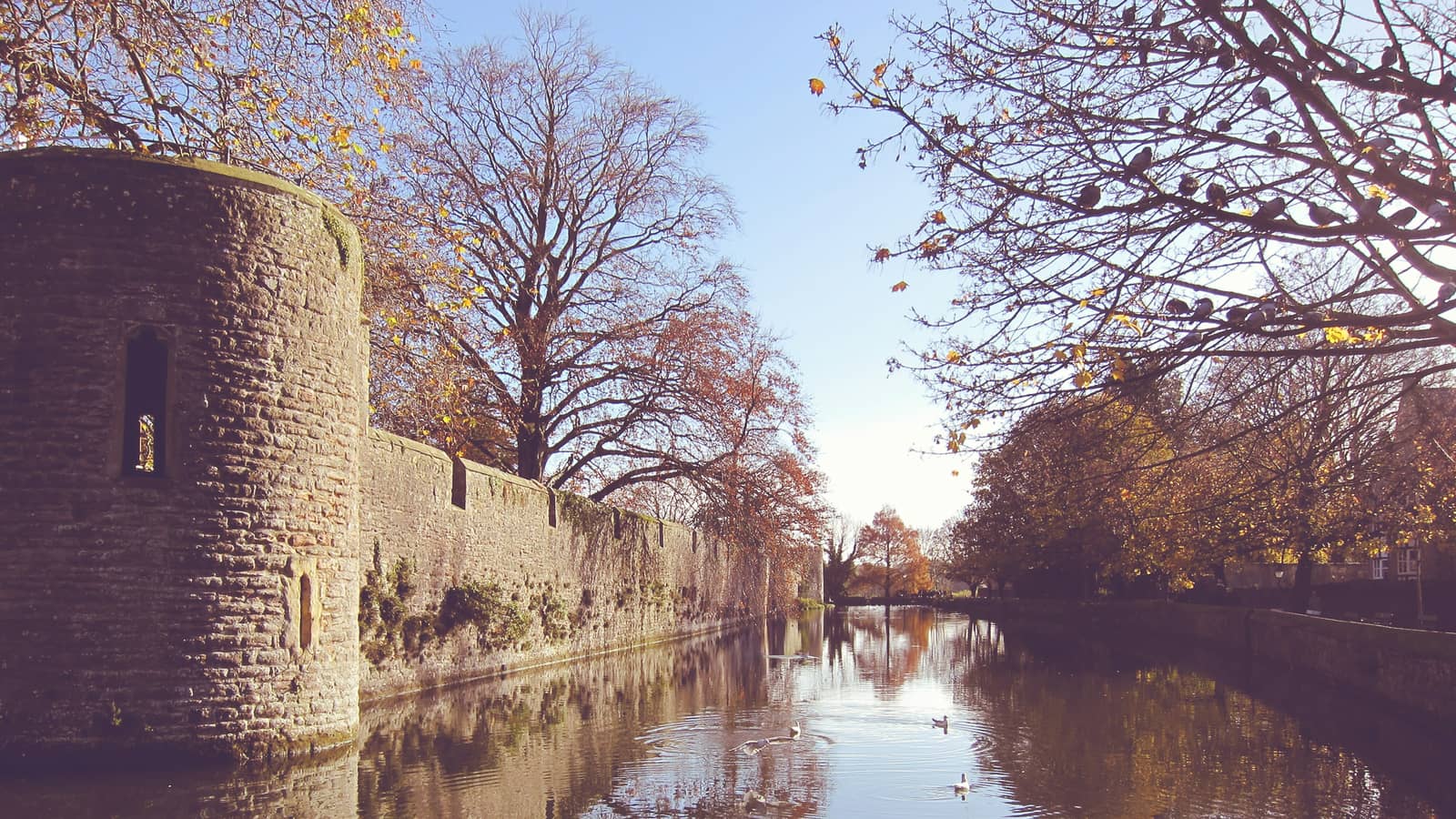 In the town that was home to the film Hot Fuzz, Wells is one of my fave places. Growing up in Avon, as it was called back in the day, Wells was where we came for an afternoon out, the Bishops Palace was where my dad desperately wanted to go, us kids would complain until he took us to the park around the corner. Awesome memories, love coming back here.
