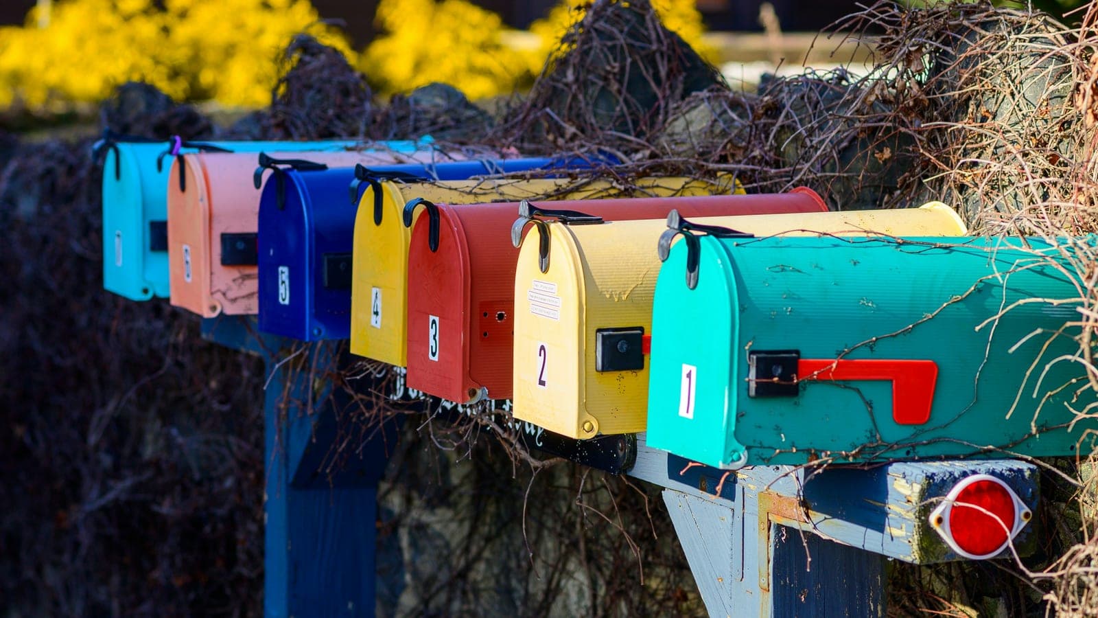 Coloring mailbox