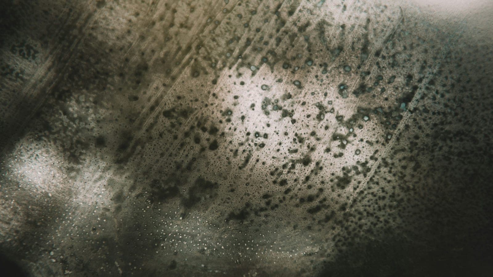 Foggy Window