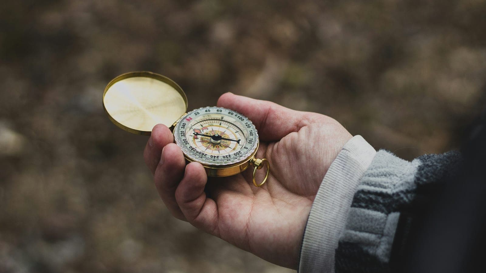 Sense of direction